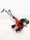 Eurosystems Z2-RM - Motoazada de gasolina 3.5 HP - Briggs&amp;Stratton 450