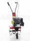 Eurosystems La Zappa - Motoazada de gasolina 4 HP - Motor Loncin 123cc
