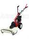 Eurosystems P55 - Motosegadora multifunci&oacute;n rotativa - Loncin 196cc