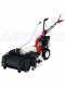 Eurosystems P55 - Motosegadora multifunci&oacute;n de doble cuchilla - Loncin 196 OHV