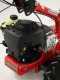 Eurosystems M210 - Motosegadora de doble cuchilla - B&amp;S 450E