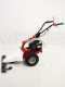 Eurosystems M210 - Motosegadora de doble cuchilla - B&amp;S 450E