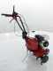 Eurosystems Euro 5 EVO - Motoazada de gasolina 5 HP - Motor Honda GP 160
