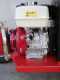 Ceccato Tritone Monster - Biotrituradora de gasolina profesional - Honda GX 390