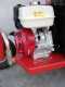 Ceccato Tritone Monster - Biotrituradora de gasolina profesional - Honda GX 390