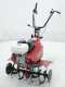 Eurosystems Euro 5 EVO 2+1 - Motoazada  de gasolina 5.5 HP - Honda GX160