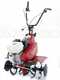 EuroSystems E5-EVO 2+1 S/R RM - Motoazada de gasolina 5 HP - Honda GP160