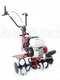 EuroSystems E5-EVO 2+1 S/R RM - Motoazada de gasolina 5 HP - Honda GP160