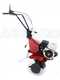 EuroSystems E5-EVO 2+1 S/R RM - Motoazada de gasolina 5 HP - Honda GP160