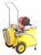 GeoTech SP 320 4S ALU - Carretilla fumigadora - 4 tiempos de gasolina
