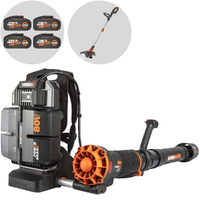 Sopladores-Aspiradores de hojas