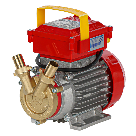 Rover 20 CE - Bomba el&eacute;ctrica de trasiego de bronce - Monof&aacute;sica - 230 V