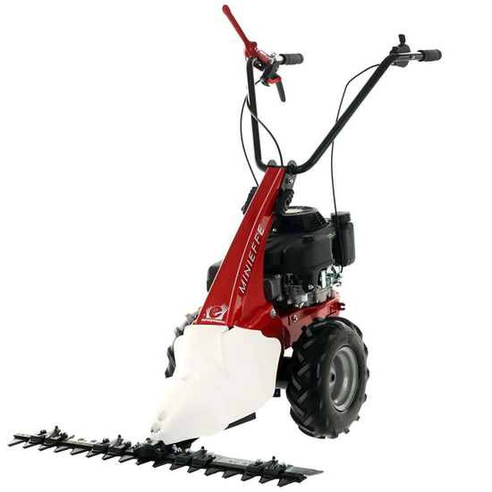 Eurosystem Minieffe - Motosegadora multifunci&oacute;n - Loncin L200 OHV