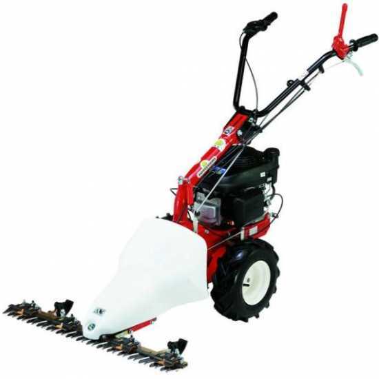 Eurosystems M210 - Motosegadora de doble cuchilla - B&amp;S 450E