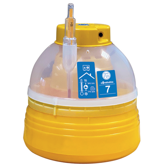 Novital Covatutto 7 New - Incubadora de huevos manual - 7 huevos