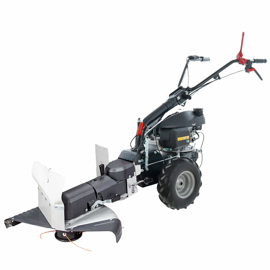 Eurosystems P55 - Desbrozadora de ruedas de gasolina - Honda GCVX 170
