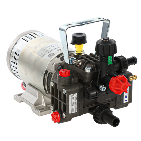 Annovi reverberi AR DUE DC - Motobomba el&eacute;ctrica para pulverizaci&oacute;n - 12 V - 10 bar - BATER&Iacute;A NO INCLUIDA