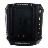 Cargador de bater&iacute;as Briggs&amp;Stratton para bater&iacute;as a los iones de litio 82V da 2Ah e 4 Ah