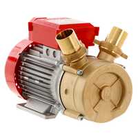 Rover BE-M 50 - Bomba el&eacute;ctrica de trasiego de bronce - Monof&aacute;sica - 230 V