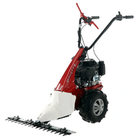 Eurosystems Minieffe RM -Motosegadora multifunci&oacute;n - Loncin L200 OHV