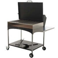 Famur BK 10 Elite - Barbacoa de le&ntilde;a y carb&oacute;n