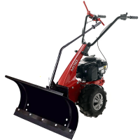 Eurosystems Minieffe M150 RM - Barredora de nieve de gasolina - B&amp;S 625EXi