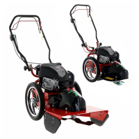 Blue Bird FLO SPEED 7 BS - Desbrozadora de gasolina - Cuchilla e hilo - B&amp;S 675EXi