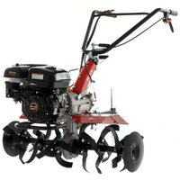 Benassi BL106C - Motoazada de gasolina 7 HP - Motor Hwasdan H170F