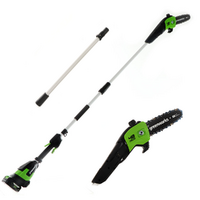 Podadora de bater&iacute;a con p&eacute;rtiga y barra alargadora Greenworks G48PS 48 V - Bater&iacute;a 2 Ah