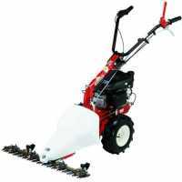Eurosystems M210 - Motosegadora de doble cuchilla - B&amp;S 450E