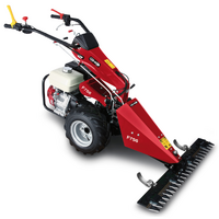 Ginko MGM FC 756 - Motosegadora multifunci&oacute;n - Honda GX270