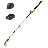 Greenworks G48PHTII - Cortasetos de bater&iacute;a con p&eacute;rtiga - 48V 4Ah