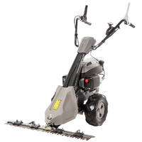 Blackstone SM 65-880 - Motosegadora monocuchilla - Motor de 196cc