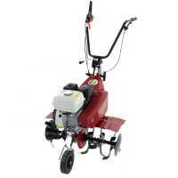 Eurosystems Euro 5 EVO - Motoazada de gasolina 5 HP - Motor Honda GP 160