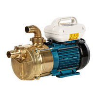 Tellarini EEM 40 - Bomba el&eacute;ctrica de trasiego de lat&oacute;n - Monof&aacute;sica - 230 V