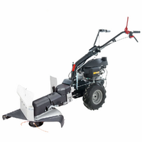 Eurosystems P55 - Desbrozadora de ruedas de gasolina - Honda GCVX 170