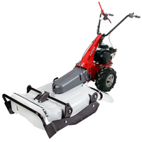Eurosystems Minieffe M150 - Desbrozadora de gasolina - Falciatutto PRO - B&amp;S 625 EXi