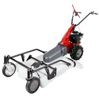 Eurosystems Minieffe M150 - Desbrozadora de gasolina - Falciatutto PRO V2 - B&amp;S 625 EXi