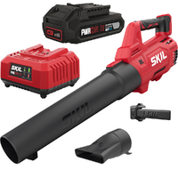 Skil 0331 CA - Soplador de bater&iacute;a - 20V 2.5Ah