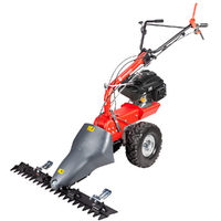 Eurosystems P70 EVO - Motosegadora multifunción de doble cuchilla - Rato RV200