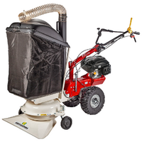 Eurosystems P70 EVO - Aspirador de hojas de gasolina - Rato RV200
