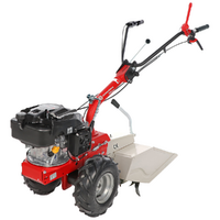 Eurosystems P55 - Motocultor de gasolina - Rato RV200