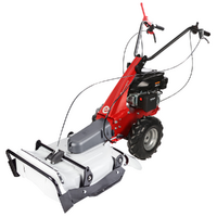Eurosystems Minieffe - Desbrozadora de gasolina - Falciatutto PRO - Rato RV200
