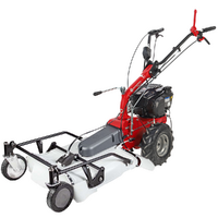 Eurosystems P55 EVO - Desbrozadora de gasolina - Falciatutto PRO V2 - B&amp;S 675 iSi