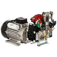 Annovi reverberi AR 30 EM - Motobomba el&eacute;ctrica para pulverizaci&oacute;n con motor monof&aacute;sico