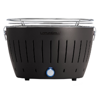 LotusGrill LG G34 U - Barbacoa port&aacute;til para exteriores - Antracita