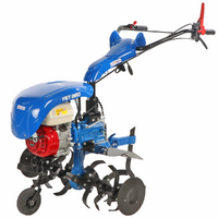 EuroMech YET 280 - Motoazada de gasolina 6,5 HP - Honda GX200