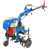 EuroMech YET 300 - Motoazada de gasolina 6,5 HP - Honda GX200