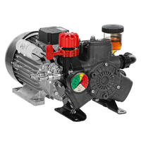 Annovi Reverberi AR 403 EM GCI - Motobomba eléctrica para pulverización con motor monofásico