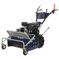 BullMach FALX 600 B&amp;S - Desbrozadora de martillos - B&amp;S CR950